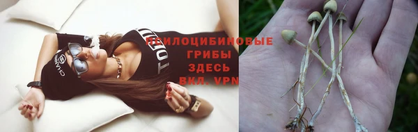 ALPHA PVP Волосово