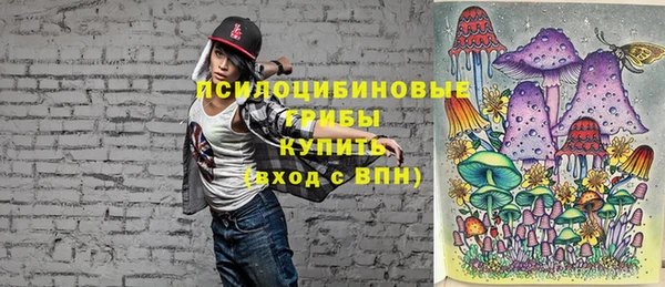 PSILOCYBIN Волоколамск